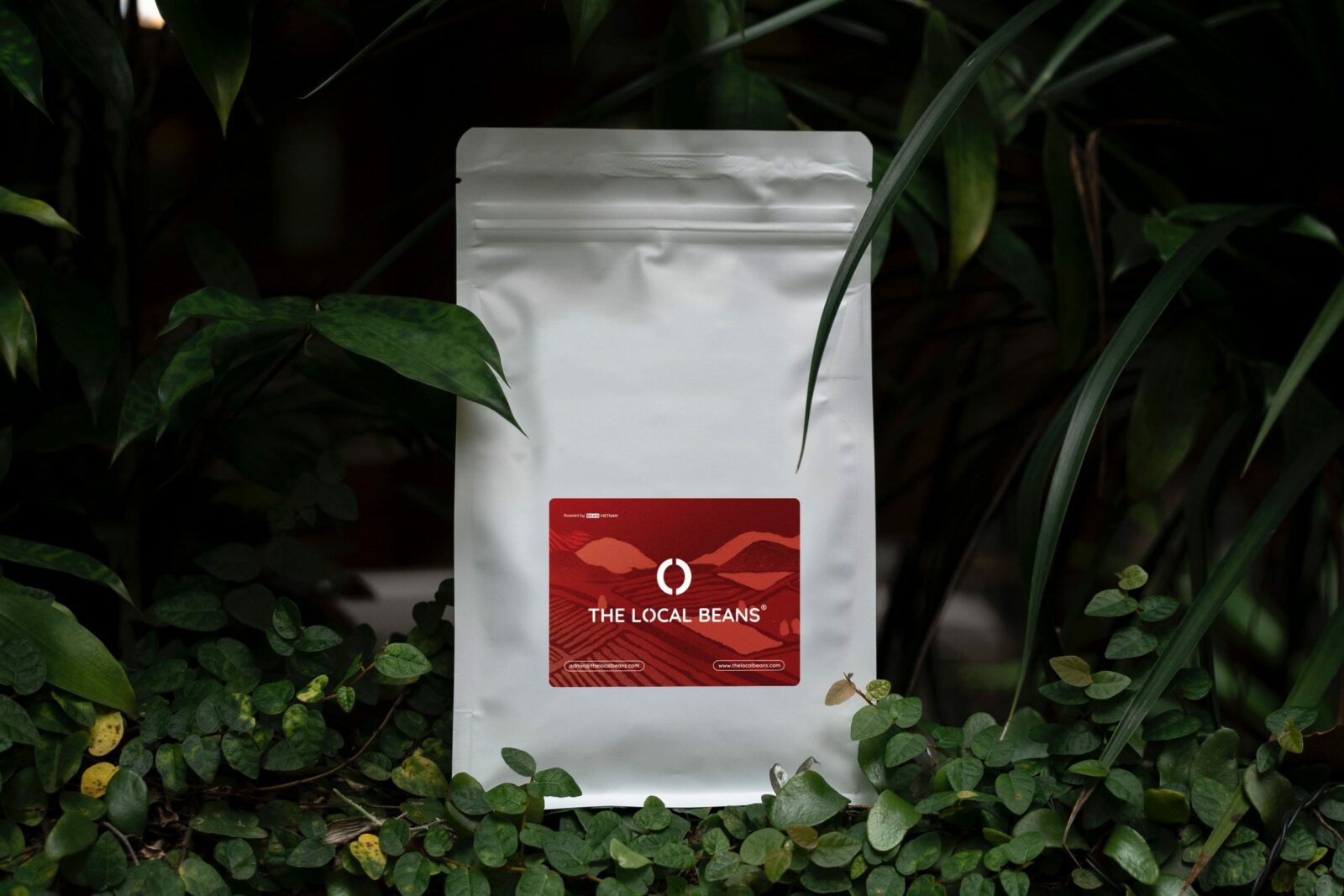 Cà phê gói dạng hạt pha phin